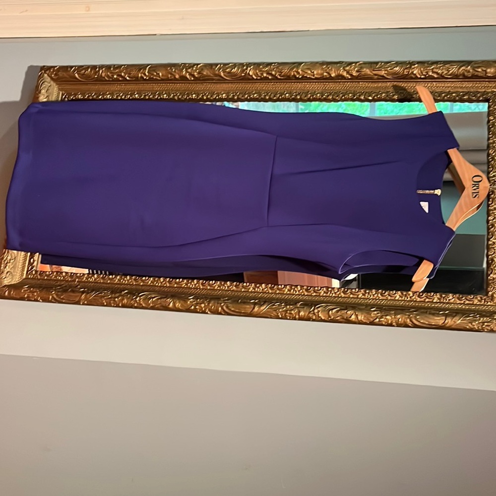 Royal blue dress with gold zipper down the back. Falls just below the knee.
